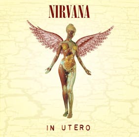 1993-Nirvana-In-Utero