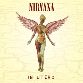 1993-Nirvana-In-Utero