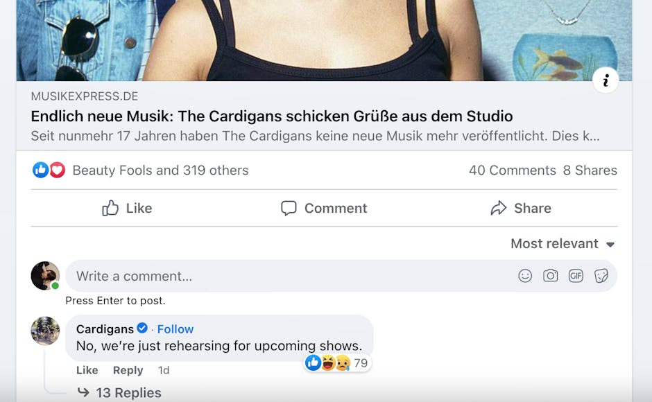 Le commentaire sous le post Facebook de l'article de Musikexpress.  - Facebook / Musikexpress