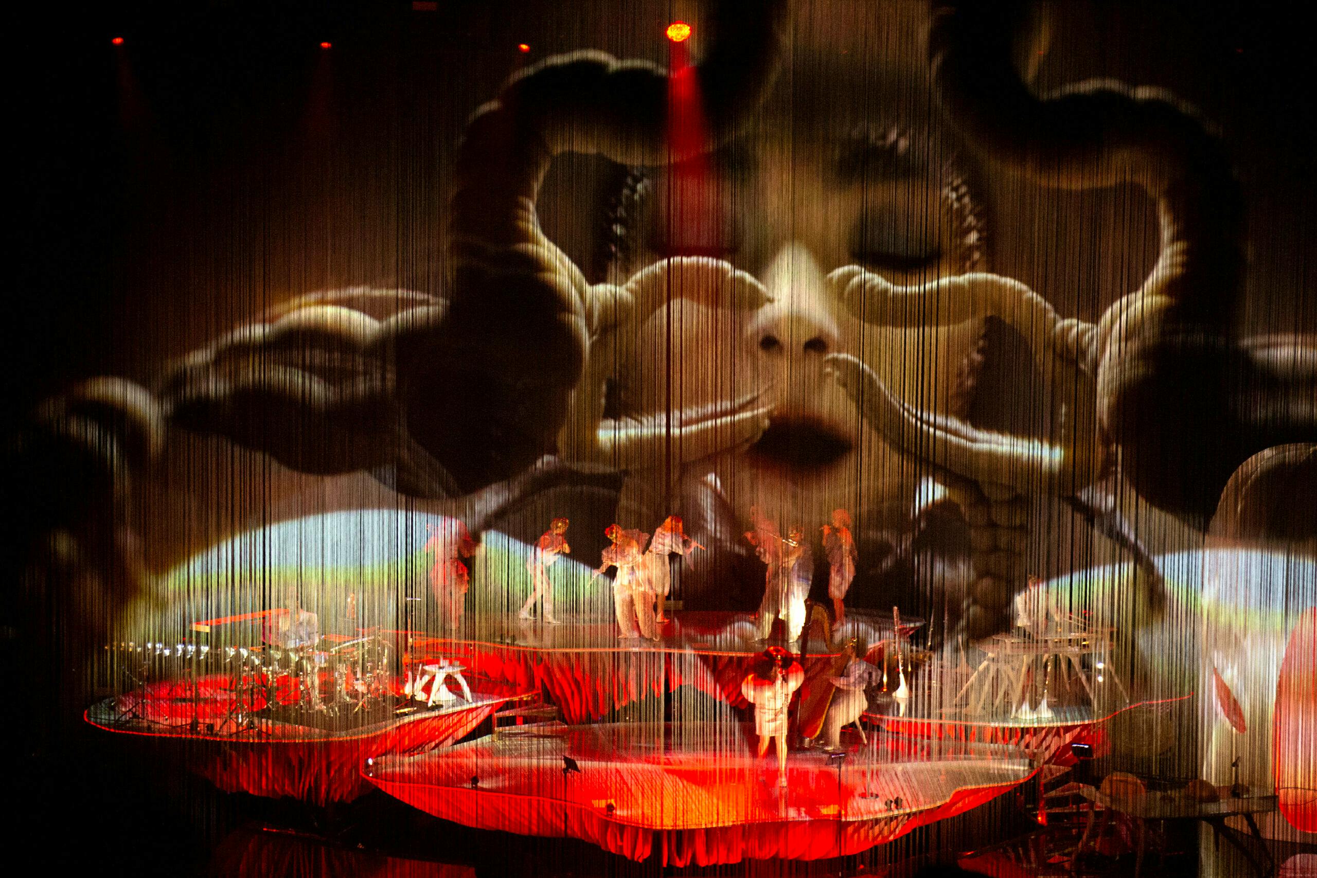 Björk auf der Bühne.  - PR