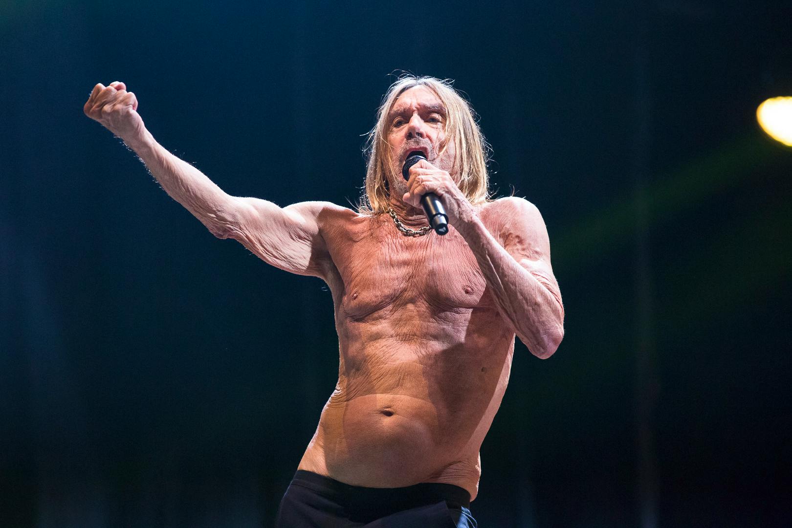 Iggy Pop  - Thomas Ebert - Venoge Festival